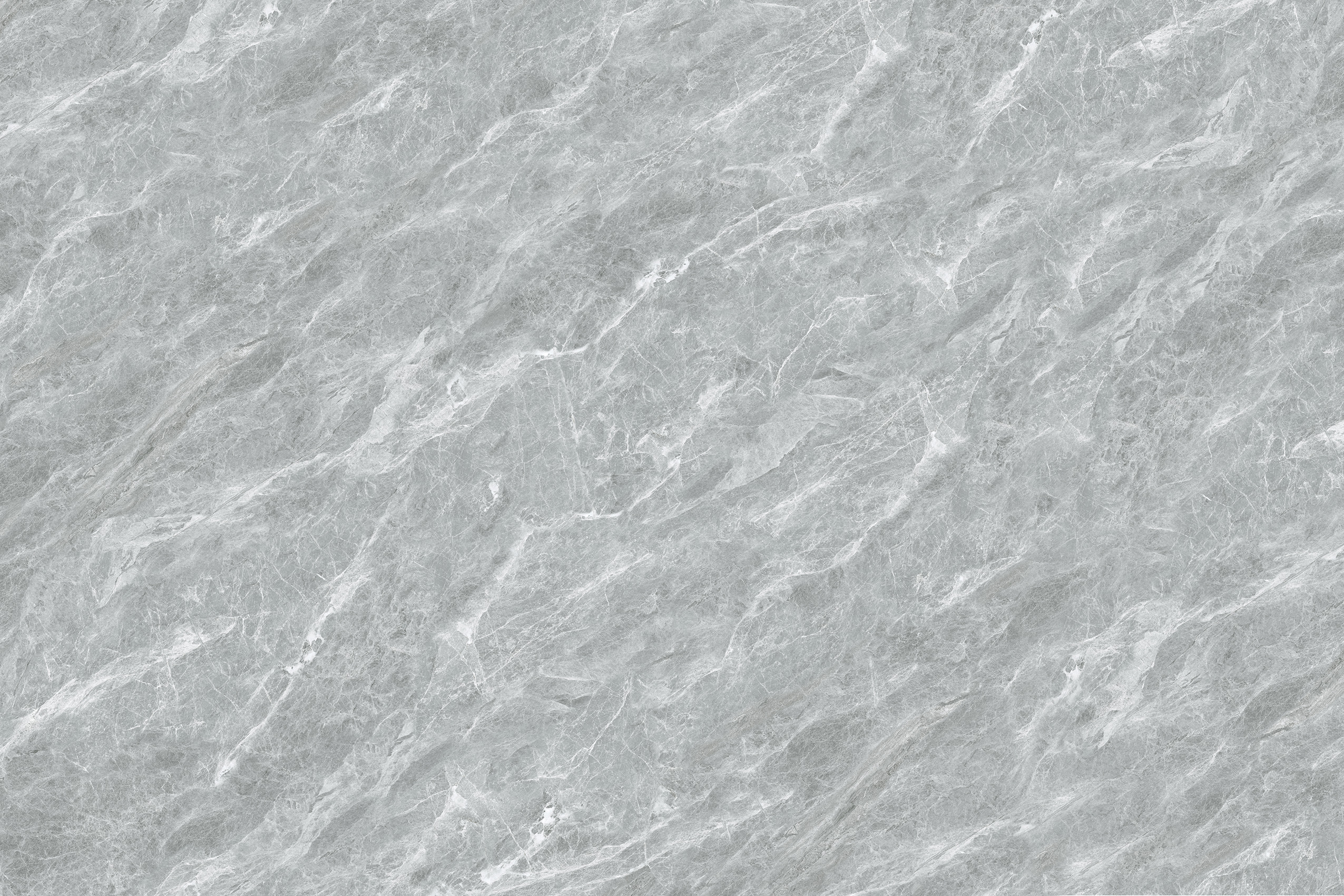 DL122019-1
