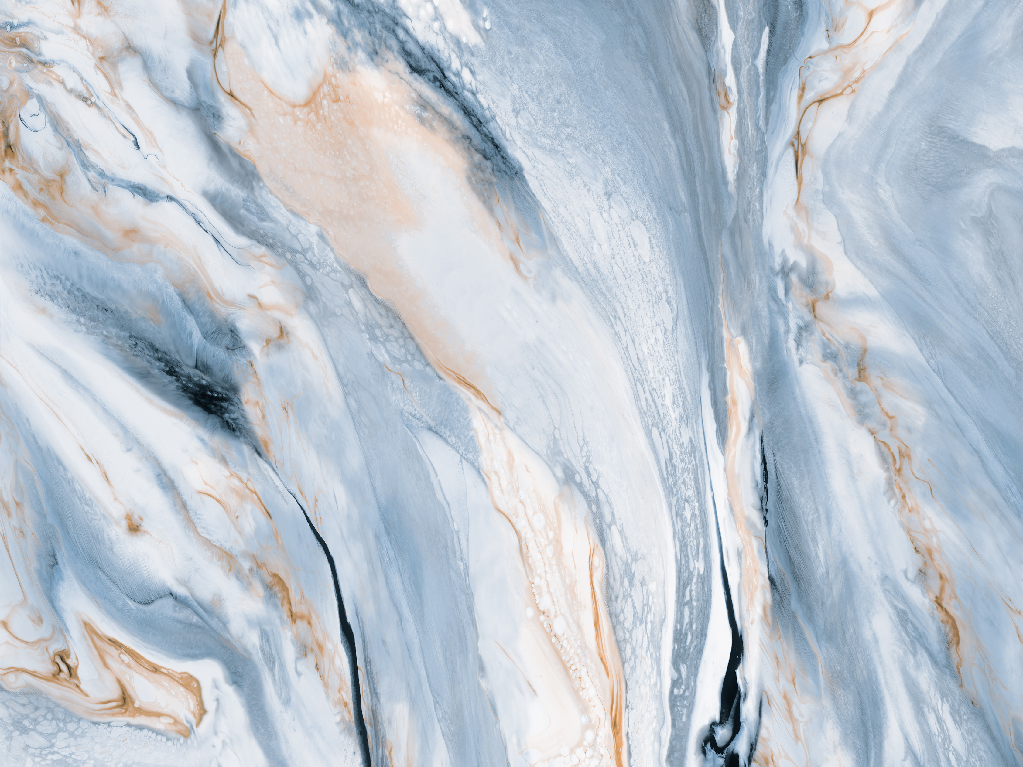 DL122040-1